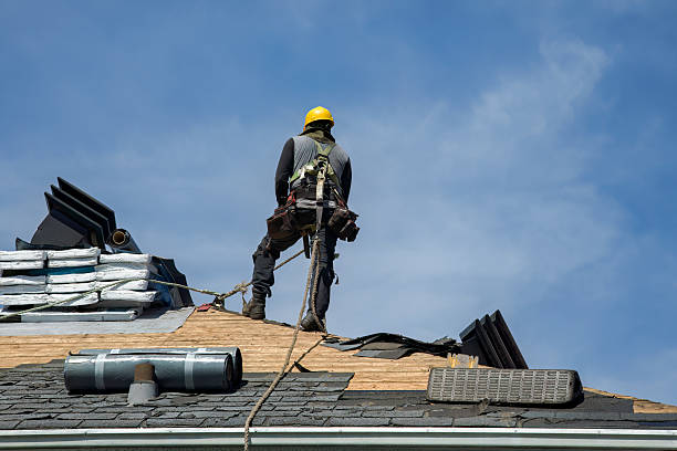 Professional Roofing technician working in Freeport, MN